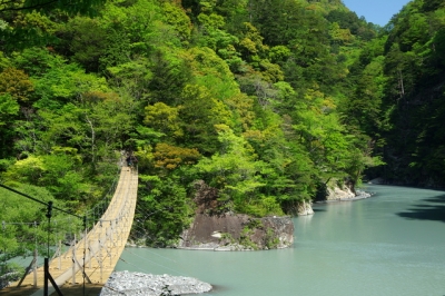 夢の吊り橋