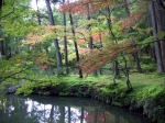 西芳寺（苔寺）