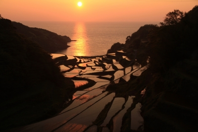 浜野浦の棚田